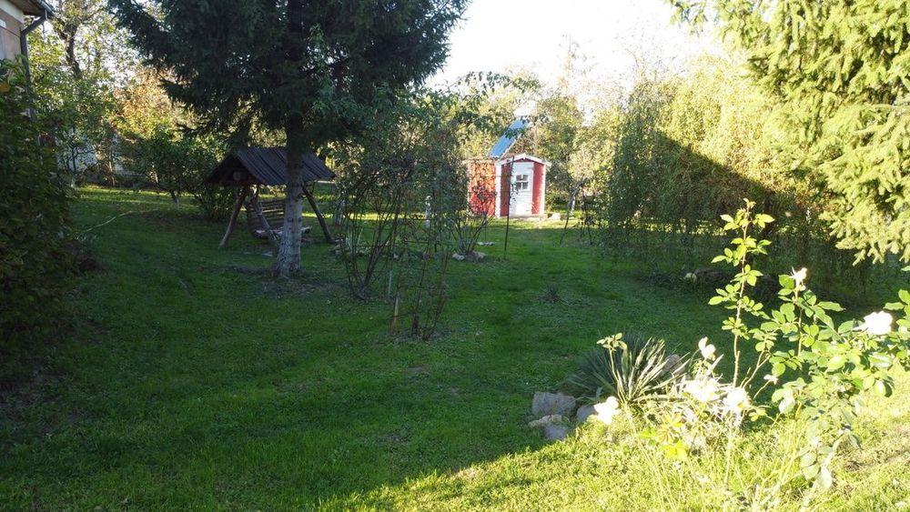 Blick in den Garten von Matei