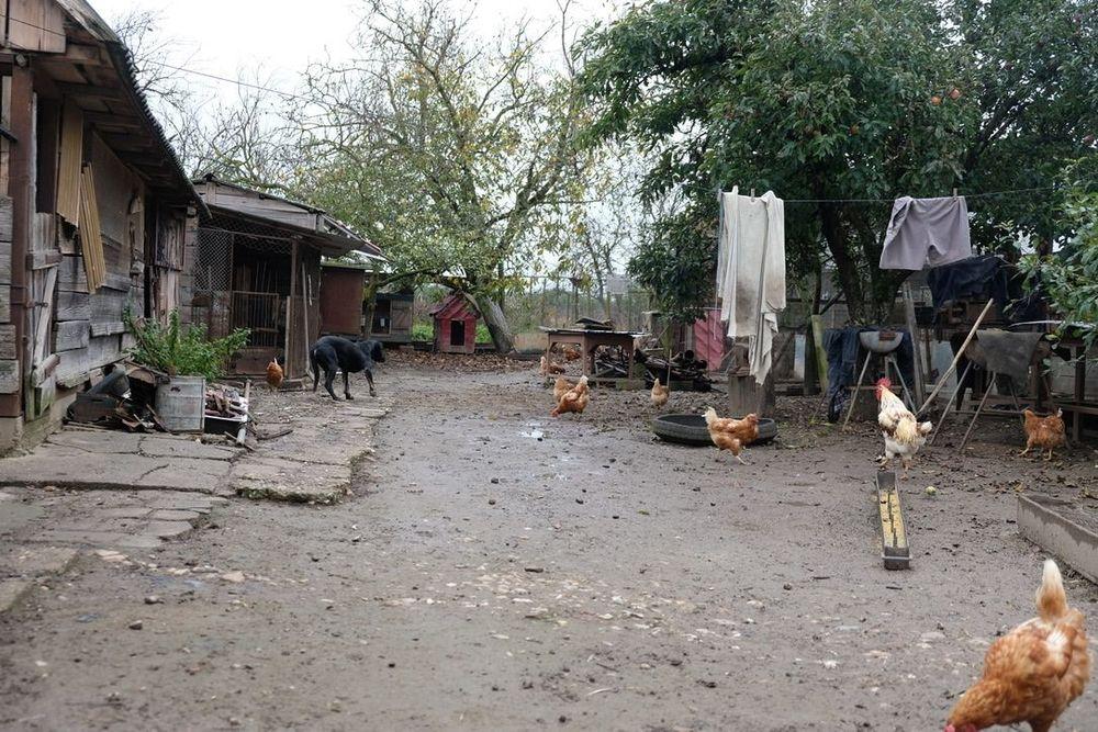 Zuhause bei Jimmy - Hinterer Hof