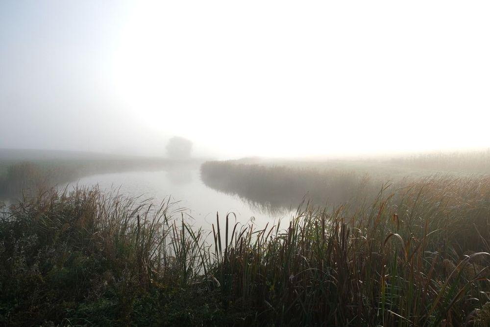 Einfach mystisch - Nebel am See